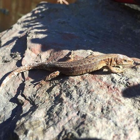 The Sandrock Lynton Bagian luar foto